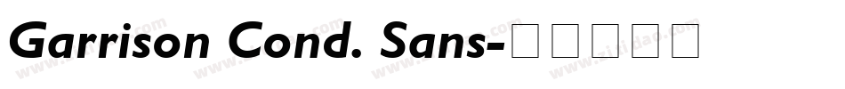 Garrison Cond. Sans字体转换